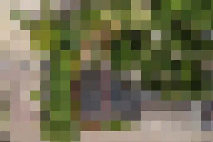 Akkerlaan 30 Nijmegen thumbnail 70