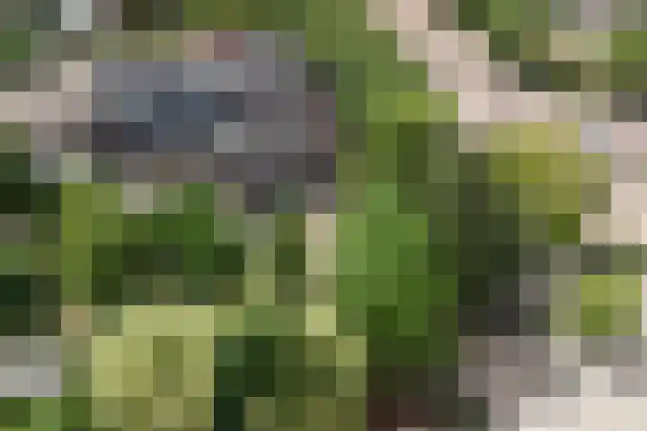 Akkerlaan 30 Nijmegen thumbnail 71