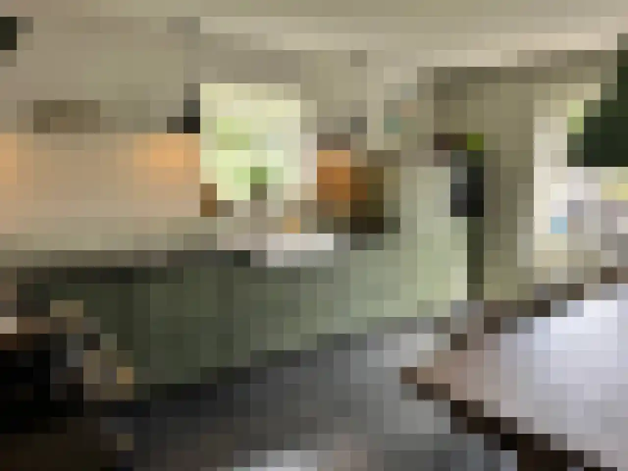 Akkerlaan 8 Arnemuiden thumbnail 13