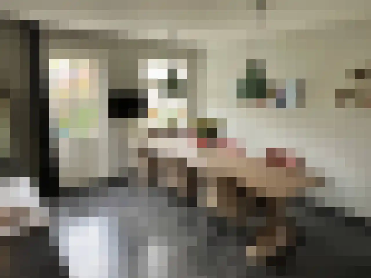 Akkerlaan 8 Arnemuiden thumbnail 14