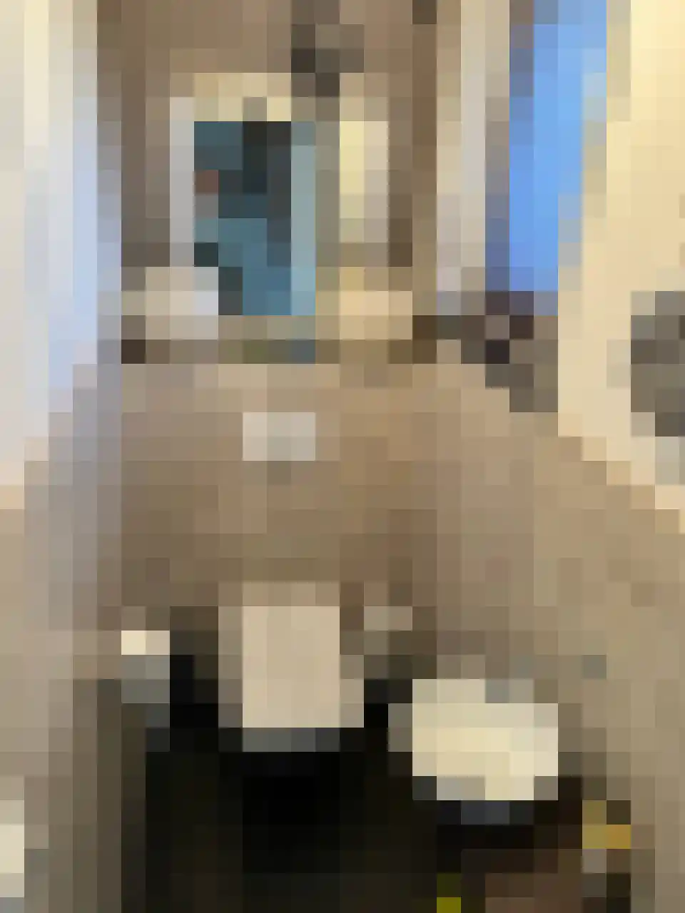 Akkerlaan 8 Arnemuiden thumbnail 17