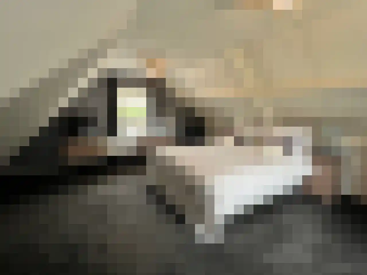 Akkerlaan 8 Arnemuiden thumbnail 32