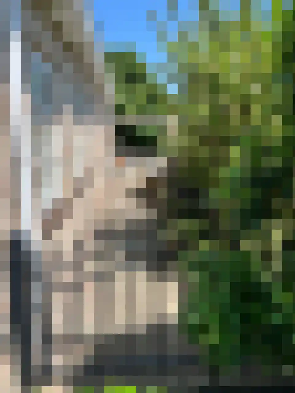 Akkerlaan 8 Arnemuiden thumbnail 38