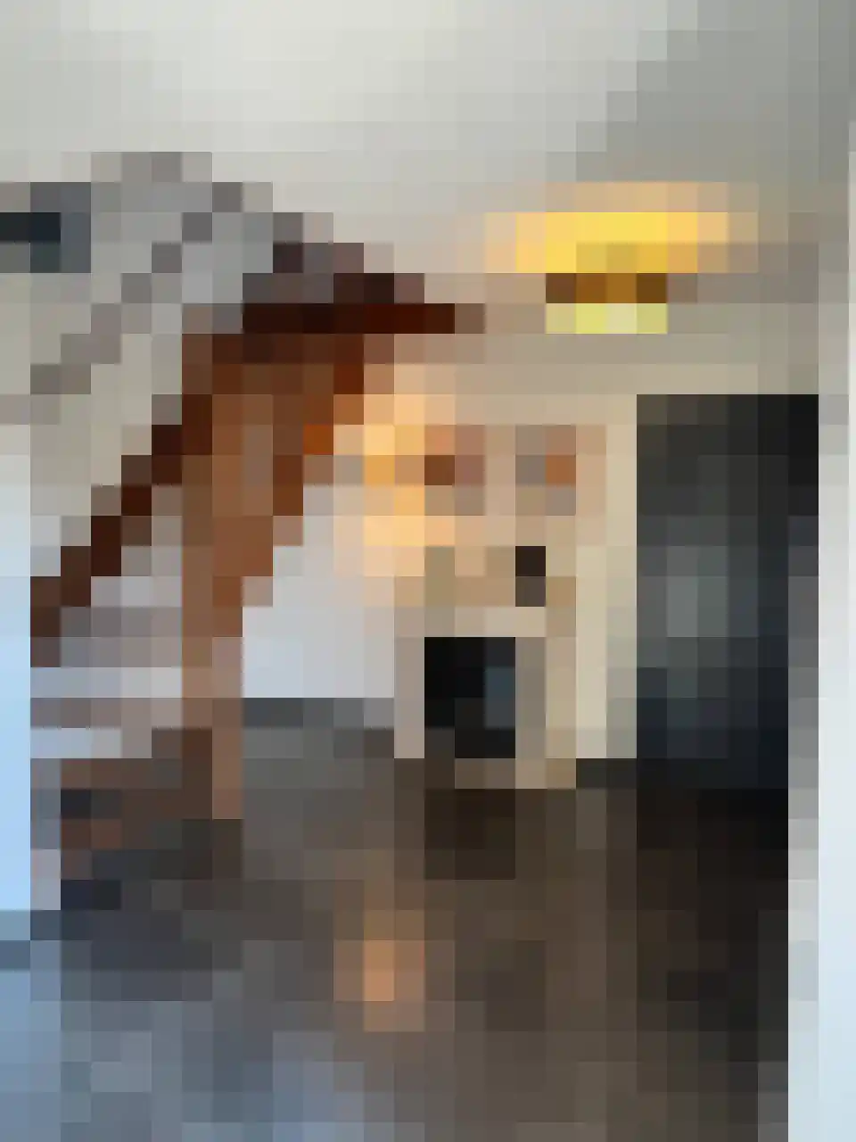 Akkerlaan 8 Arnemuiden thumbnail 4