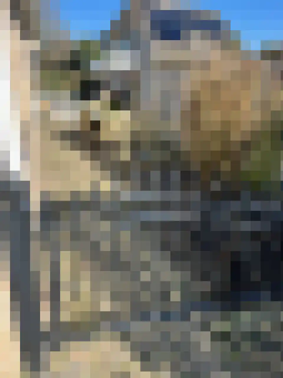Akkerlaan 8 Arnemuiden thumbnail 40