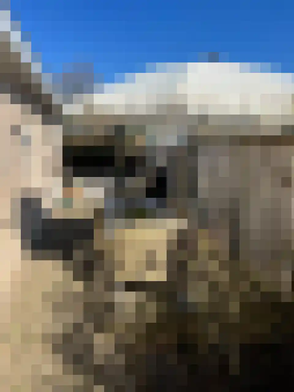Akkerlaan 8 Arnemuiden thumbnail 41