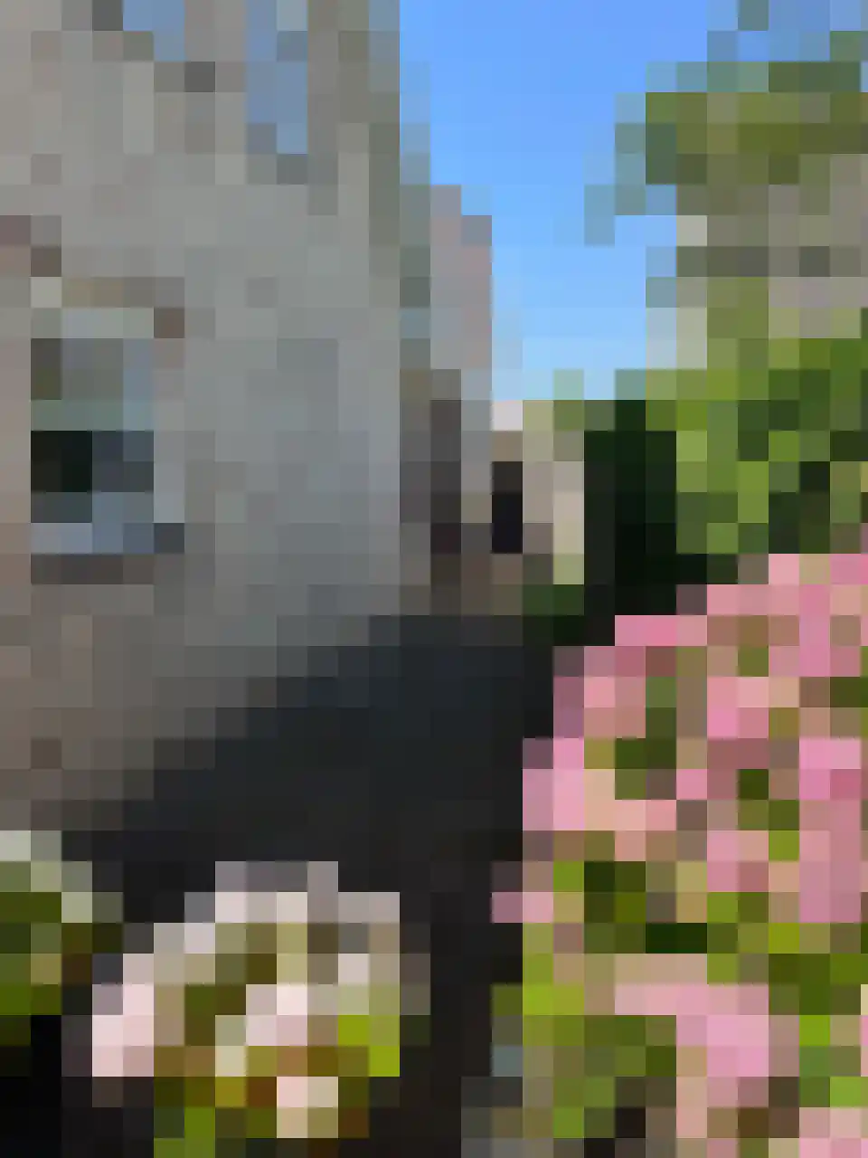 Akkerlaan 8 Arnemuiden thumbnail 41