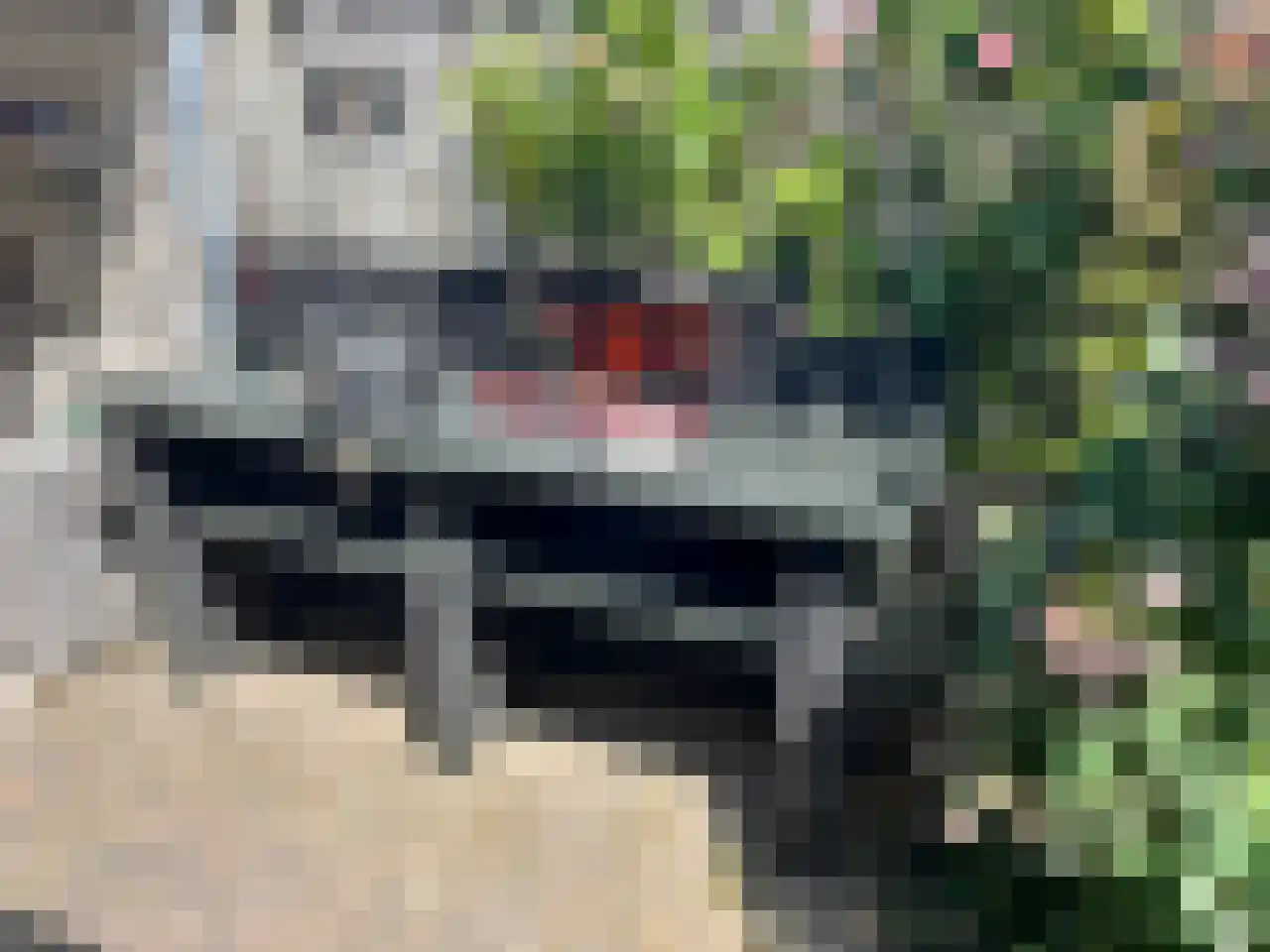 Akkerlaan 8 Arnemuiden thumbnail 42