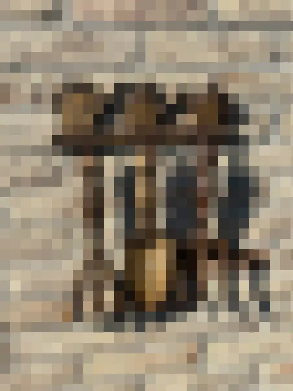 Akkerlaan 8 Arnemuiden thumbnail 44