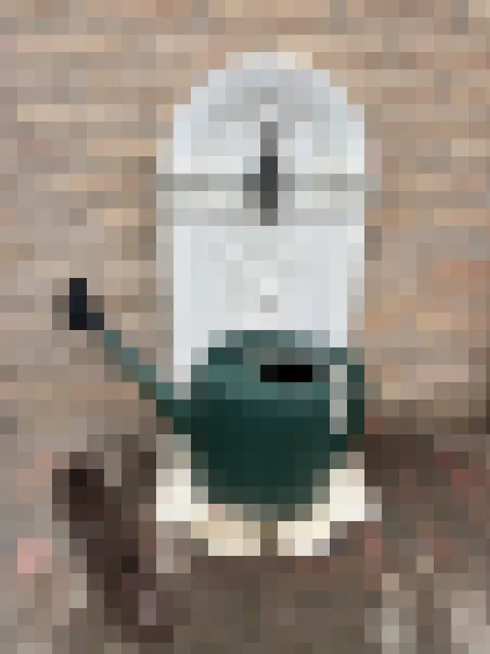 Akkerlaan 8 Arnemuiden thumbnail 44