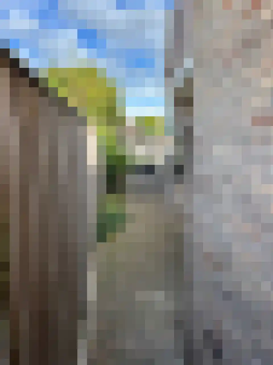 Akkerlaan 8 Arnemuiden thumbnail 47