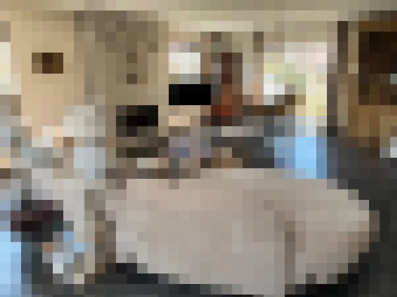 Akkerlaan 8 Arnemuiden thumbnail 7
