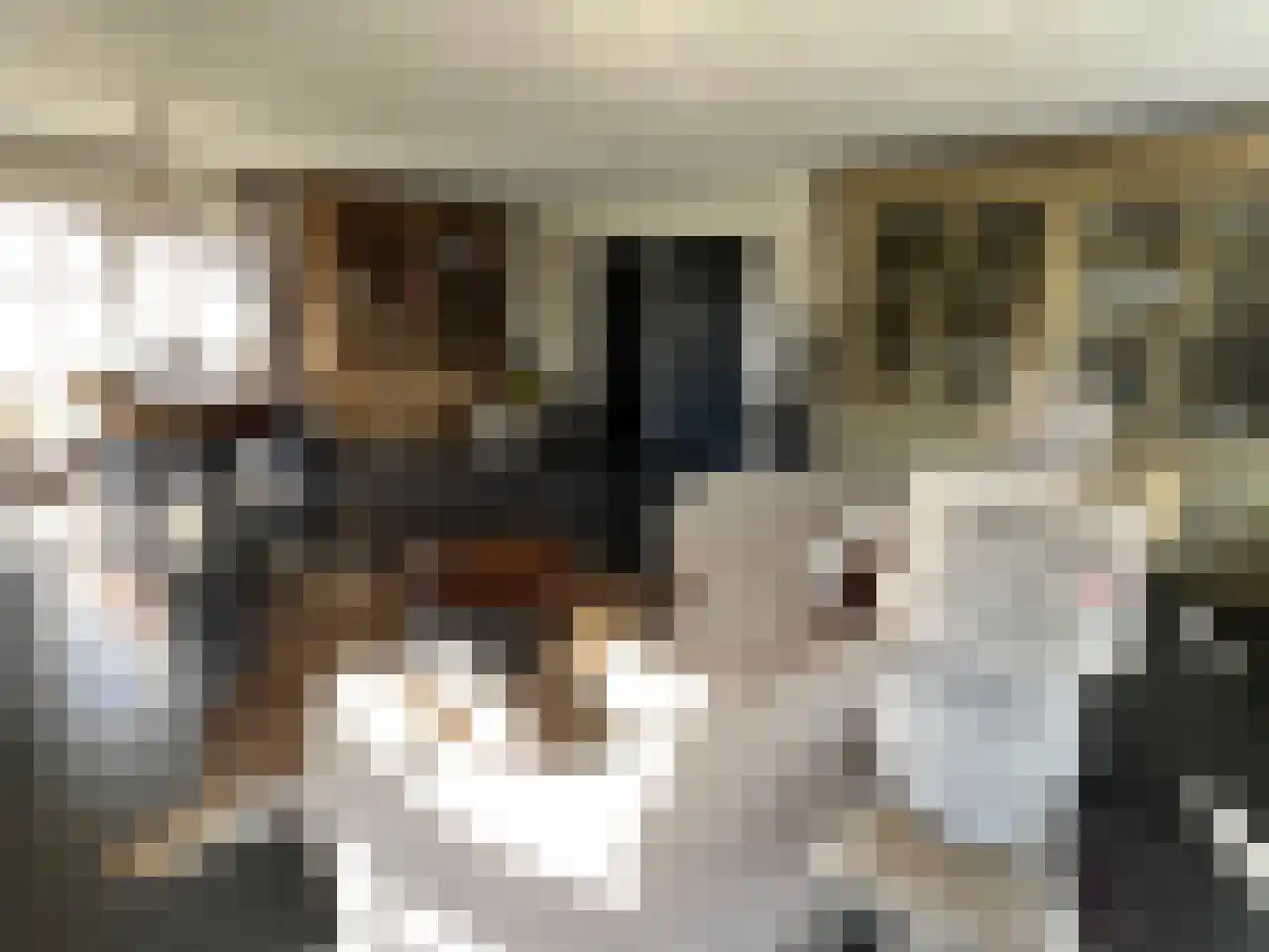 Akkerlaan 8 Arnemuiden thumbnail 9