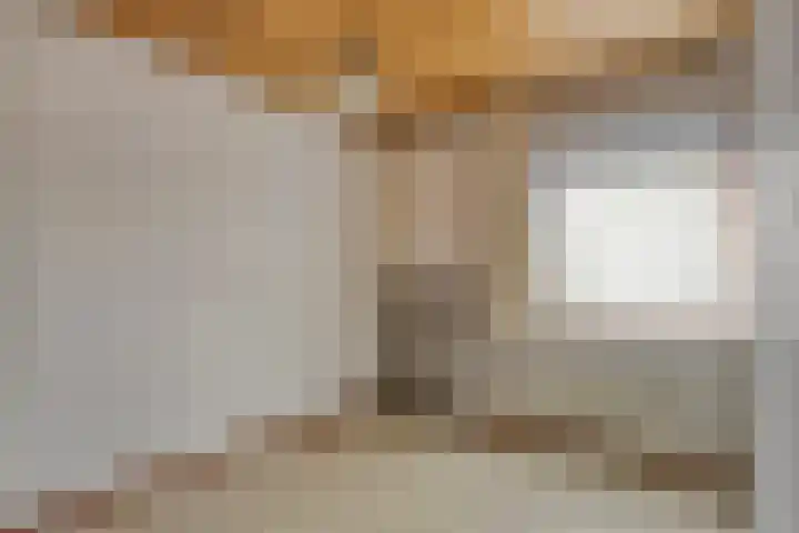 Akkerlaan 8 Prinsenbeek thumbnail 13