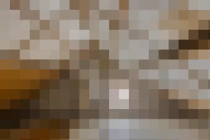 Akkerlaan 8 Prinsenbeek thumbnail 16