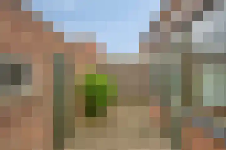 Akkerlaan 8 Prinsenbeek thumbnail 19