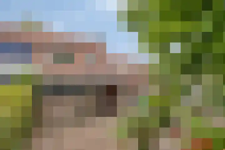 Akkerlaan 8 Prinsenbeek thumbnail 20