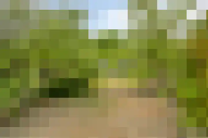 Akkerlaan 8 Prinsenbeek thumbnail 22