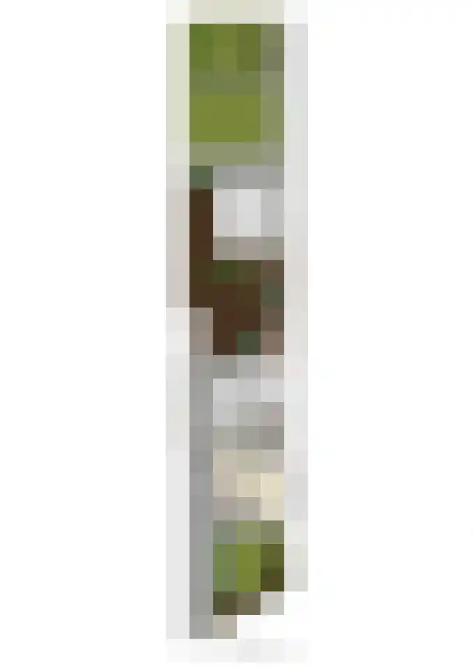 Akkerlaan 8 Prinsenbeek thumbnail 35