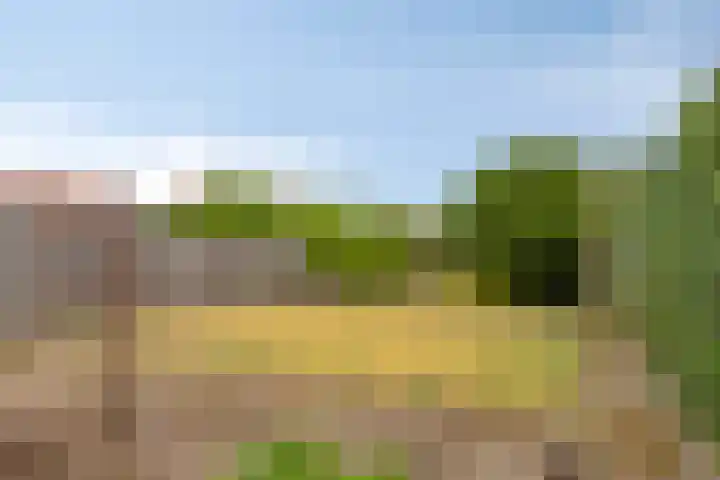 Akkerlaan 8 Prinsenbeek thumbnail 5