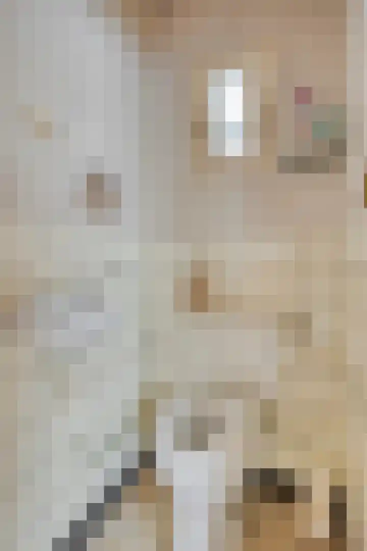 Akkerlaan 8 Prinsenbeek thumbnail 8
