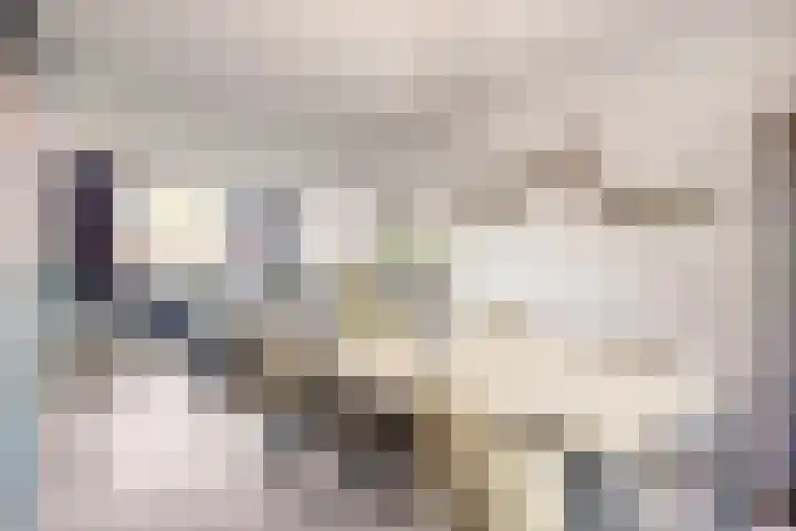 Akkerlaan 9 Arnemuiden thumbnail 15