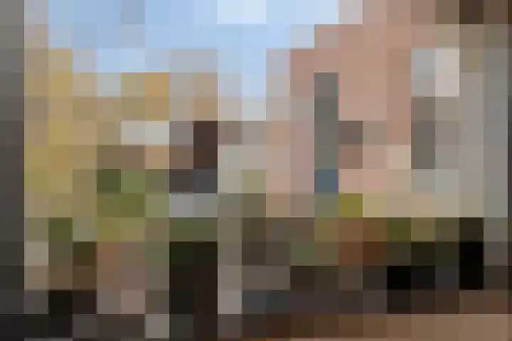 Akkerlaan 9 Arnemuiden thumbnail 18