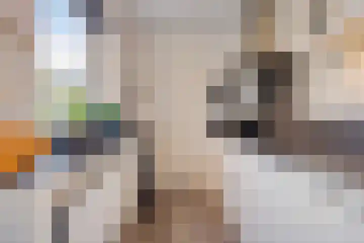 Akkerlaan 9 Arnemuiden thumbnail 20