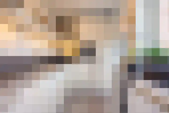 Akkerlaan 9 Arnemuiden thumbnail 22