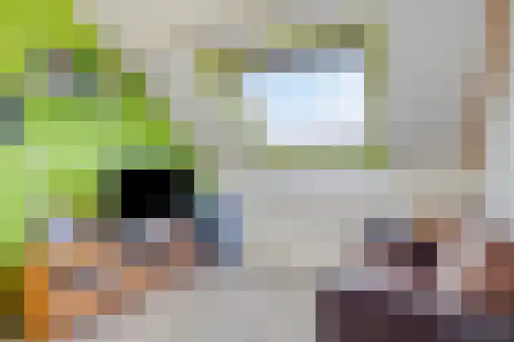 Akkerlaan 9 Arnemuiden thumbnail 35