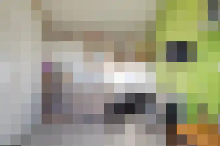 Akkerlaan 9 Arnemuiden thumbnail 36