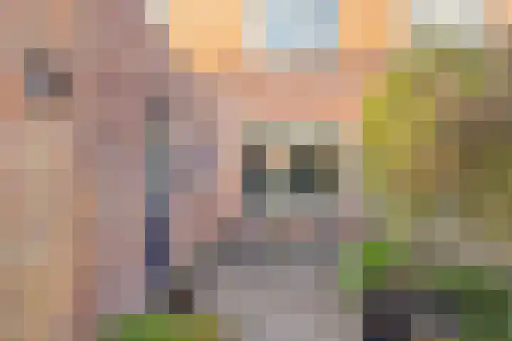 Akkerlaan 9 Arnemuiden thumbnail 37