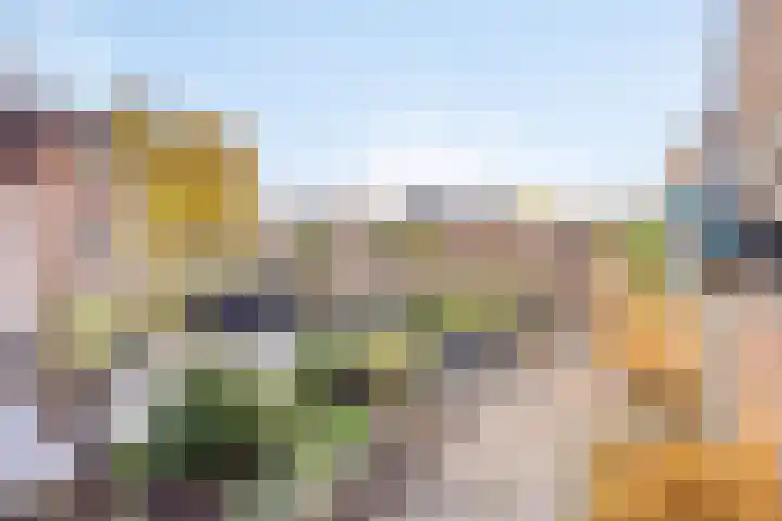 Akkerlaan 9 Arnemuiden thumbnail 42