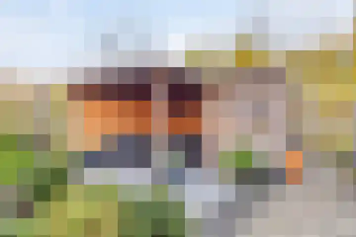 Akkerlaan 9 Arnemuiden thumbnail 44