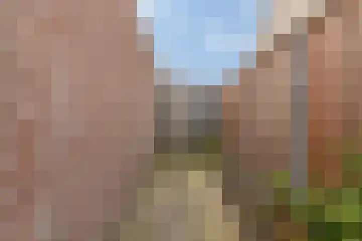 Akkerlaan 9 Arnemuiden thumbnail 46