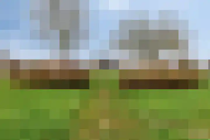 Akkerlaan 9 Arnemuiden thumbnail 50