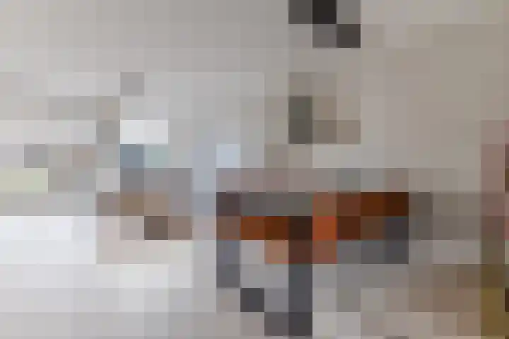 Akkerland 11 Assendelft thumbnail 11