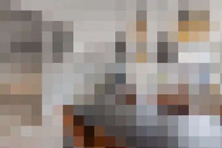 Akkerland 11 Assendelft thumbnail 12