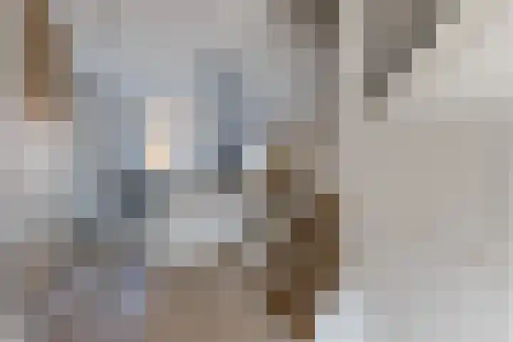 Akkerland 11 Assendelft thumbnail 13