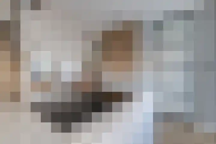 Akkerland 11 Assendelft thumbnail 16
