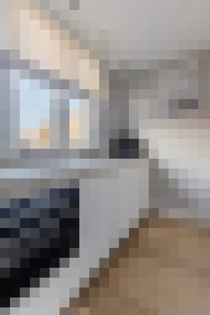 Akkerland 11 Assendelft thumbnail 17