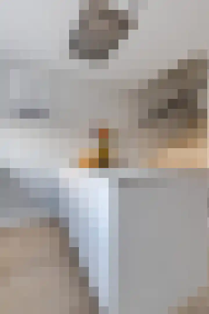 Akkerland 11 Assendelft thumbnail 18