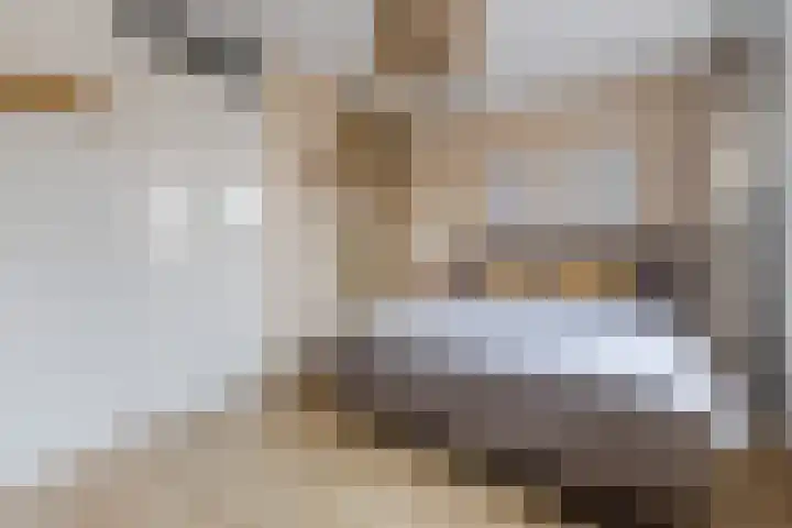 Akkerland 11 Assendelft thumbnail 22