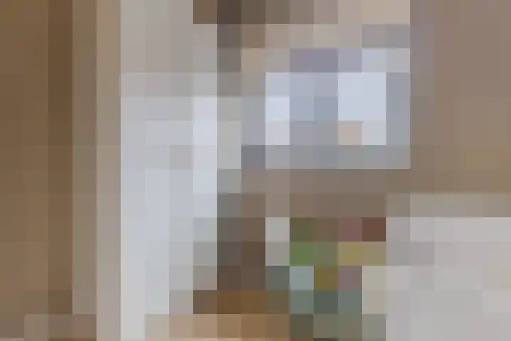 Akkerland 11 Assendelft thumbnail 25