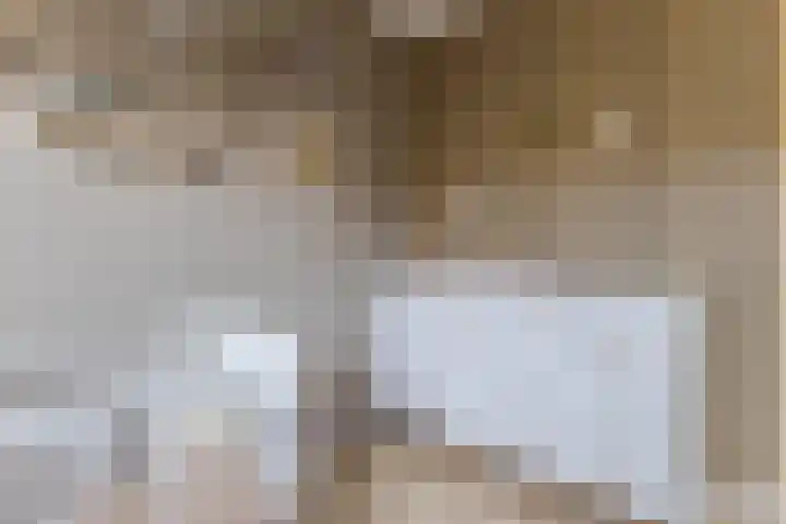 Akkerland 11 Assendelft thumbnail 26
