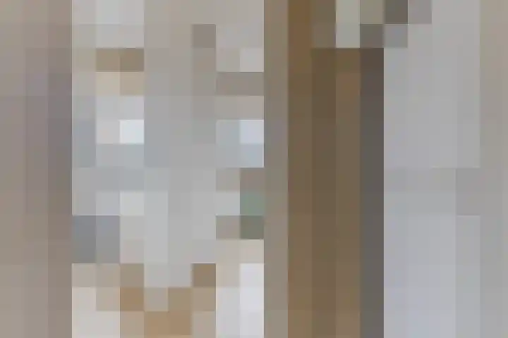 Akkerland 11 Assendelft thumbnail 32