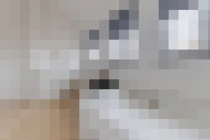 Akkerland 11 Assendelft thumbnail 36