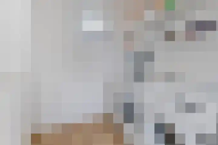 Akkerland 11 Assendelft thumbnail 37