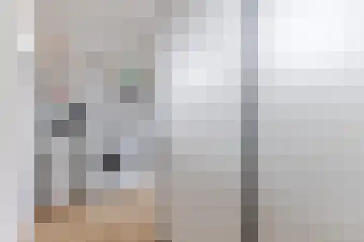 Akkerland 11 Assendelft thumbnail 39