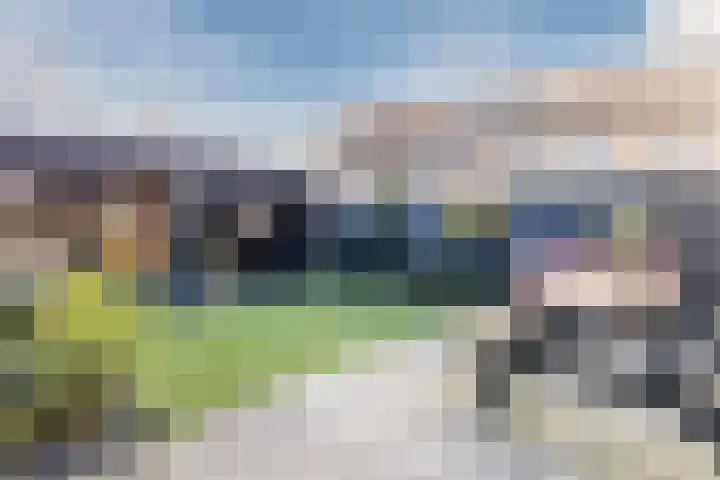Akkerland 11 Assendelft thumbnail 4